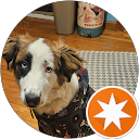 Dennis profile picture